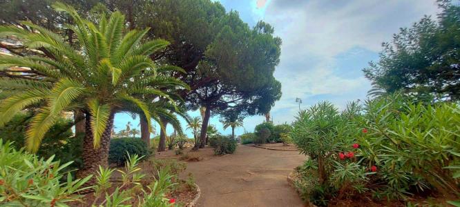 Annonce Vente 2 pices Appartement Frejus 83