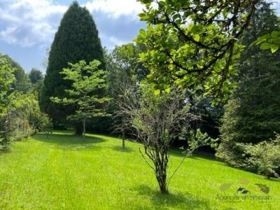 Annonce Vente Prestige Treignac 19