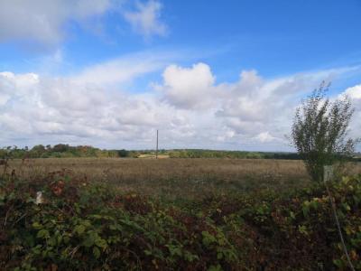 Acheter Maison 90 m2 Gondrin