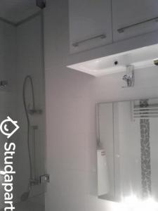 Louer Appartement Grenoble 550 euros