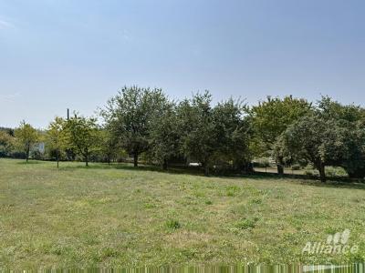 For sale Bethoncourt 6 rooms 113 m2 Doubs (25200) photo 2