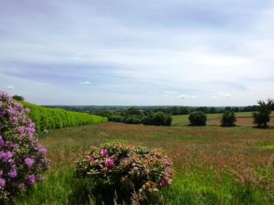 Acheter Maison Ploerdut Morbihan