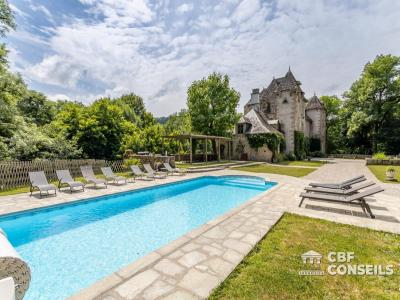 For sale Salers 15 rooms 560 m2 Cantal (15140) photo 3