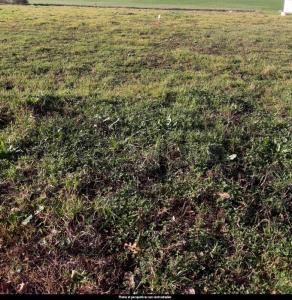 For sale Vendrennes 85 m2 Vendee (85250) photo 1