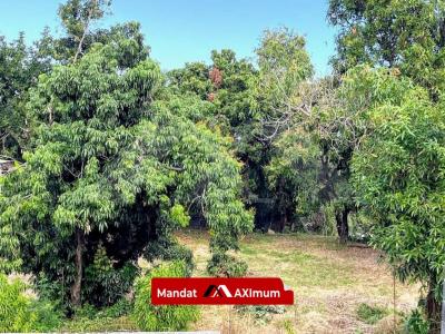 Annonce Vente Terrain Saint-louis 974