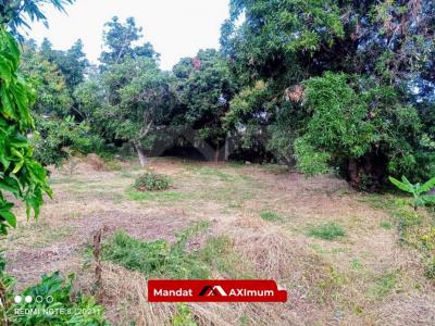 Acheter Terrain 500 m2 Saint-louis