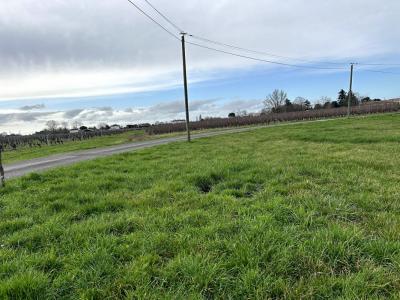 Annonce Vente Terrain Blaye 33