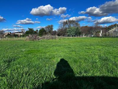 Annonce Vente Terrain Blaye 33