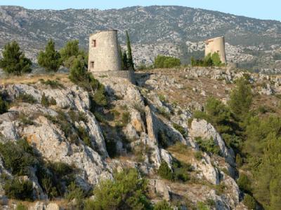 Acheter Terrain Roquefort-des-corbieres Aude