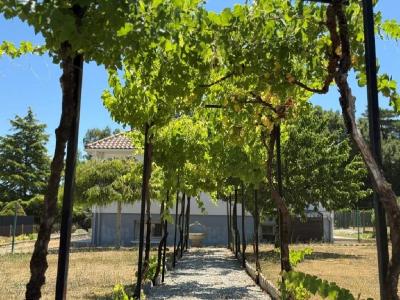 Acheter Maison  Charente