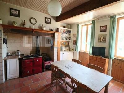 Acheter Maison 310 m2 Montain