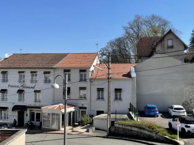 For sale Bourbonne-les-bains 30 rooms 1060 m2 Haute marne (52400) photo 2