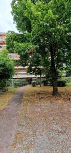For rent Talence 2 rooms 47 m2 Gironde (33400) photo 2