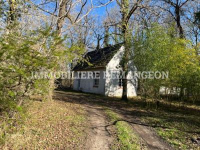For sale Lamotte-beuvron 7 rooms 165 m2 Loir et cher (41600) photo 3