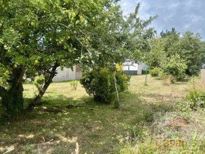Annonce Vente 4 pices Maison Plouhinec 56