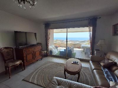Annonce Vente 4 pices Appartement Ville-di-pietrabugno 20