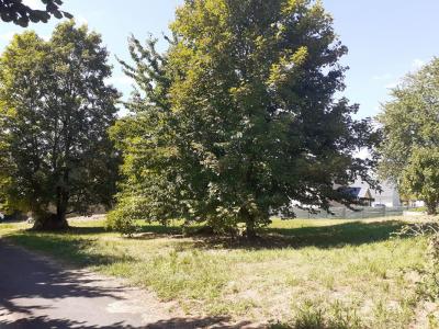For sale Brion 1100 m2 Maine et loire (49250) photo 3