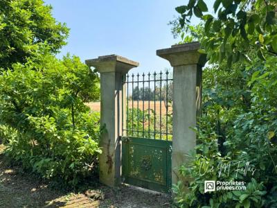 For sale Travaillan 10 rooms 270 m2 Vaucluse (84850) photo 3
