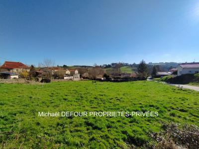 Annonce Vente Terrain Monistrol-sur-loire 43