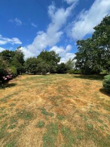 For sale Sainte-radegonde 6 rooms 155 m2 Gironde (33350) photo 3