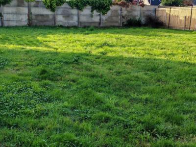 Annonce Vente Terrain Saint-lunaire 35