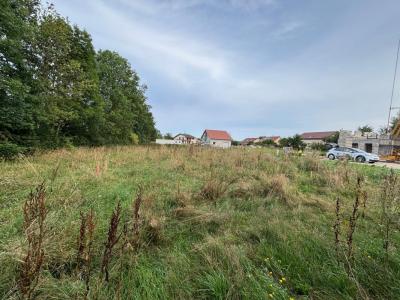 Acheter Maison 136 m2 Goux-les-usiers