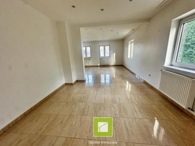 Acheter Maison 130 m2 Ribeauville