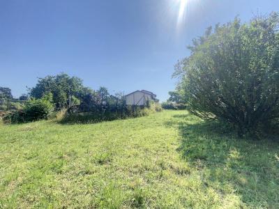 For sale Chozeau 550 m2 Isere (38460) photo 3