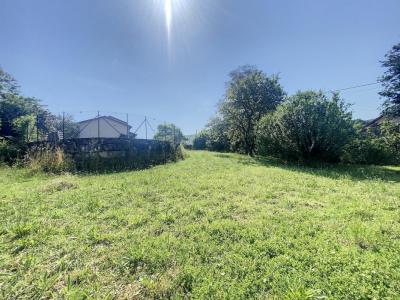 For sale Chozeau 550 m2 Isere (38460) photo 4
