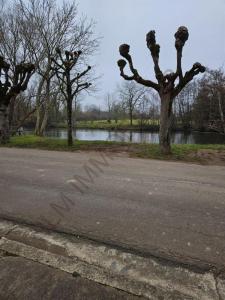 For sale Vincelottes 4 rooms 80 m2 Yonne (89290) photo 1