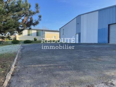 Annonce Location Commerce Muizon 51