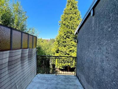 Annonce Vente 3 pices Maison Darney 88