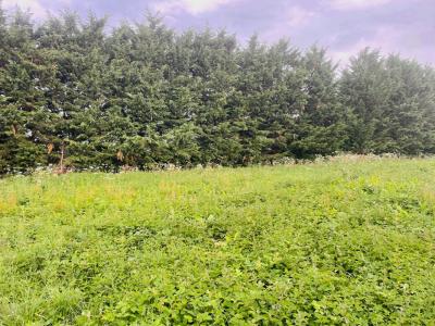 For sale Favieres 2213 m2 Eure et loir (28170) photo 1