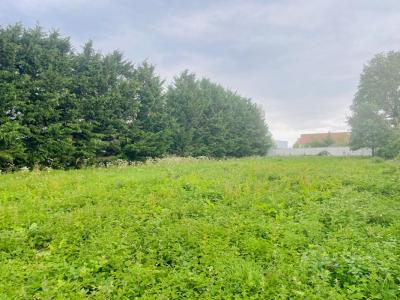 For sale Favieres 2213 m2 Eure et loir (28170) photo 2