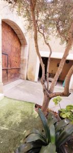 Annonce Vente 5 pices Maison Ornaisons 11