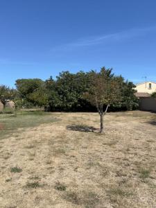 Annonce Vente Terrain Fleury 11
