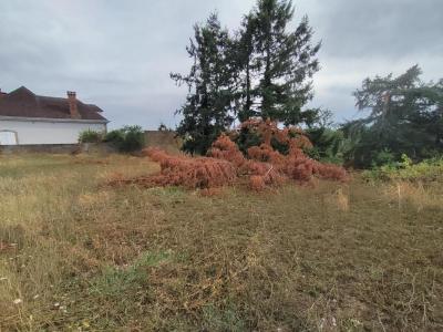 For sale Saint-pourcain-sur-sioule 2520 m2 Allier (03500) photo 4