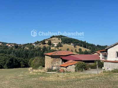 For sale Sainte-colombe-sur-gand 7 rooms 171 m2 Loire (42540) photo 1