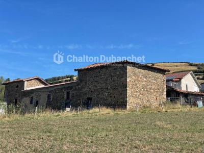 For sale Sainte-colombe-sur-gand 7 rooms 171 m2 Loire (42540) photo 2