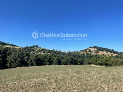 For sale Sainte-colombe-sur-gand 7 rooms 171 m2 Loire (42540) photo 3