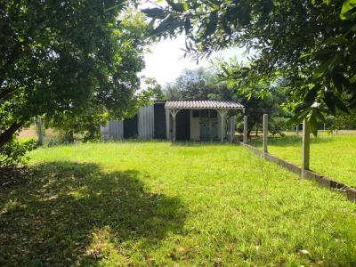 Acheter Maison 115 m2 Biscarrosse
