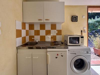 Louer Appartement Sainte-lucie-de-porto-vecchio Corse