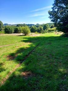 Acheter Terrain 4550 m2 Chastang