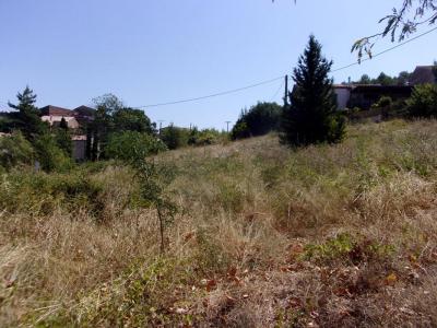 Annonce Vente Terrain Liausson 34
