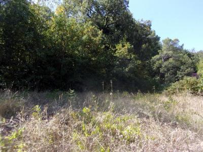Acheter Terrain 2354 m2 Liausson