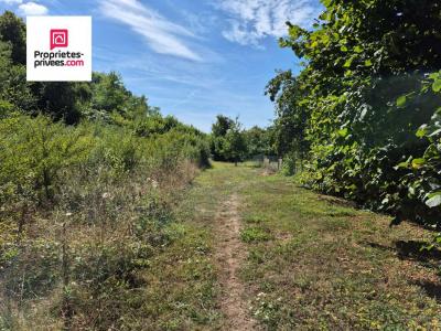 For sale Saint-remy-sur-avre 6079 m2 Eure et loir (28380) photo 0