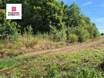 Annonce Vente Terrain Saint-remy-sur-avre 28
