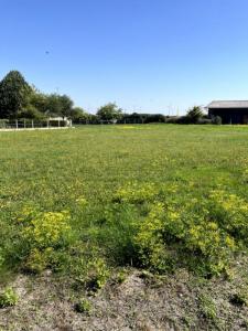 Acheter Terrain 1720 m2 Grandes-chapelles