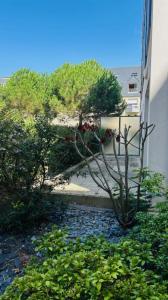 Annonce Location 2 pices Appartement Saint-malo 35