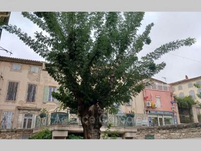 Annonce Vente 3 pices Maison Nissan-lez-enserune 34